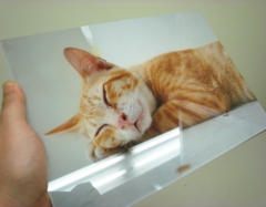 アクリルフォト